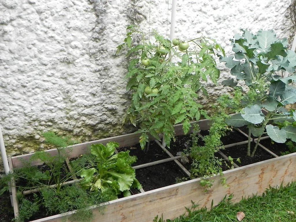 Tamarindo B&B Medellín